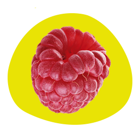 Close-up of a fresh raspberry