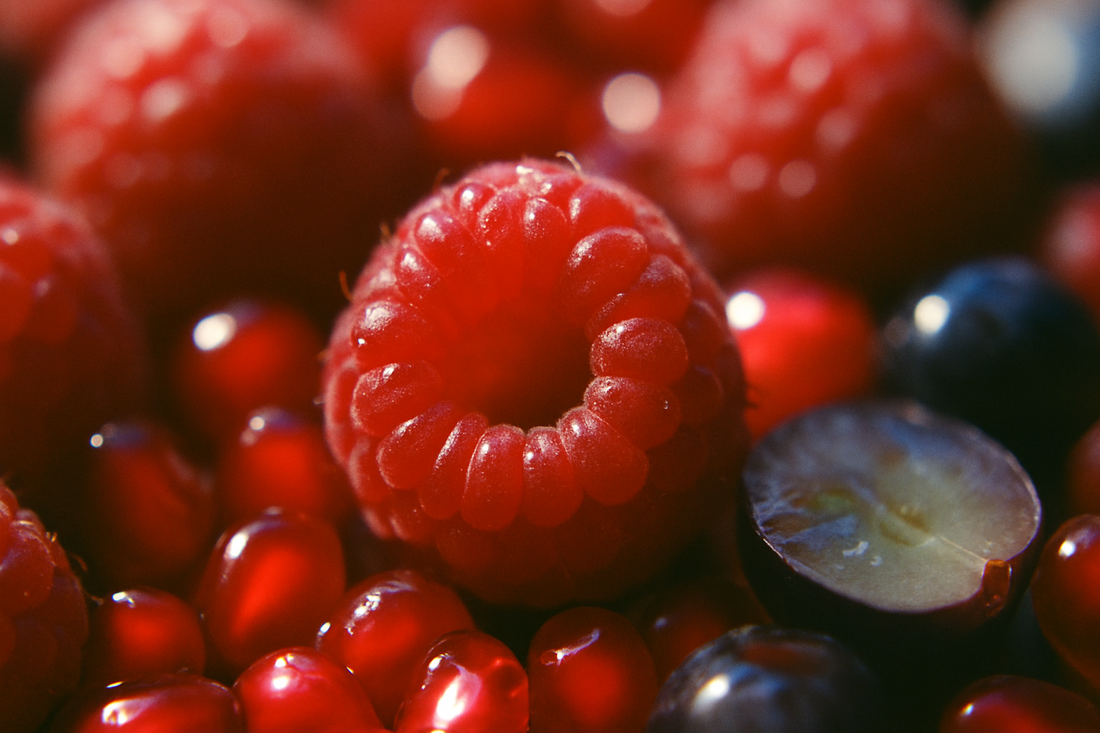 How to Choose a Reliable Raspberry Distributor from Mexic