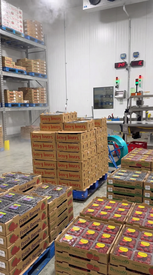 Long-Term Supply Partnerships: Why Buyers Choose Produce Lovers for Stability