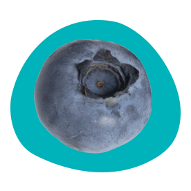 Close-up of a fresh blueberry