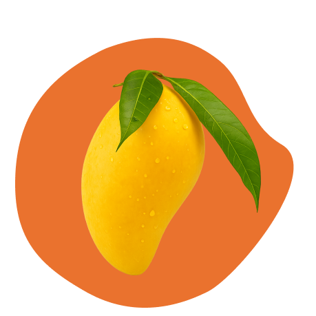 Ataulfo mango with green leaves